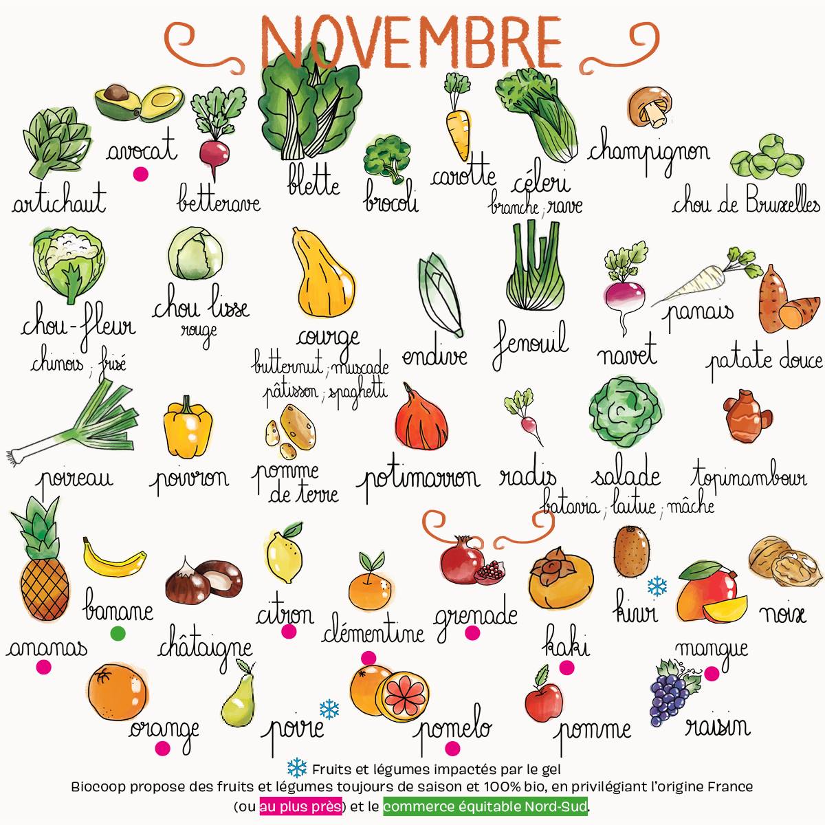 Fruits et légumes de novembre 